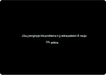 greitas mašinos atkūrimas-1