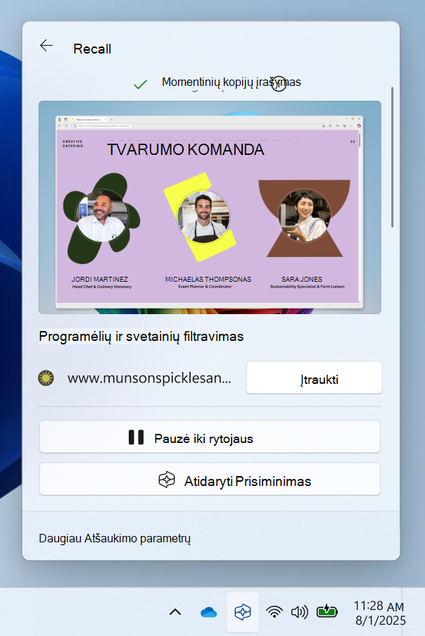 Sparčiųjų parametrų ekrano kopija iš Atšaukti sistemos dėklo piktogramą