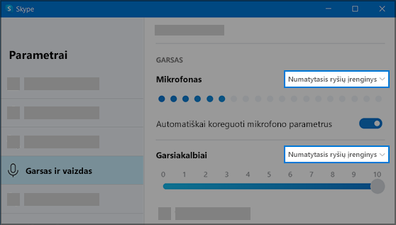 „Skype“ parametrai
