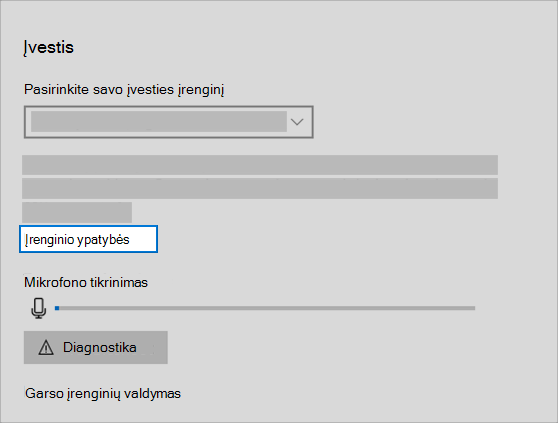 Garso įvesties įrenginio ypatybių saitas garso meniu