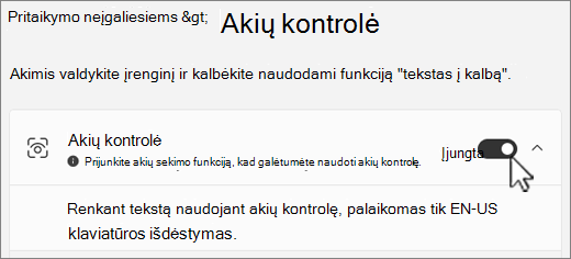 Pritaikymo neįgaliesiems parametrų lango dalis Akių kontrolė
