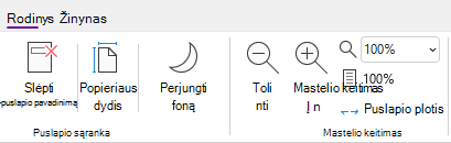 Mastelio parinkčių grupė programoje 