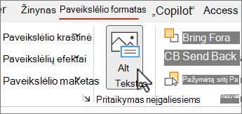 Mygtukas Alternatyvusis tekstas meniu Paveikslėlio formatavimas programoje Word
