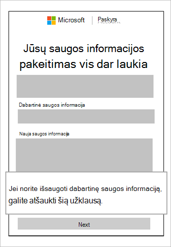 Lango Saugos informacijos pakeitimas vis dar laukia ekrano kopija