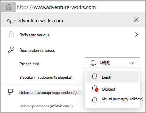 Vaizdas, kuriame rodomos pranešimų teisės 