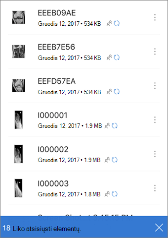 Vartotojo sąsajos tekstas, nurodantis failus, laukiančius atsisiuntimo