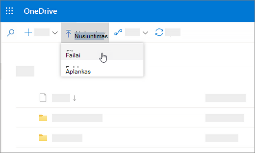Ekrano nuotrauka, kurioje matomas pasirinktas nusiuntimas