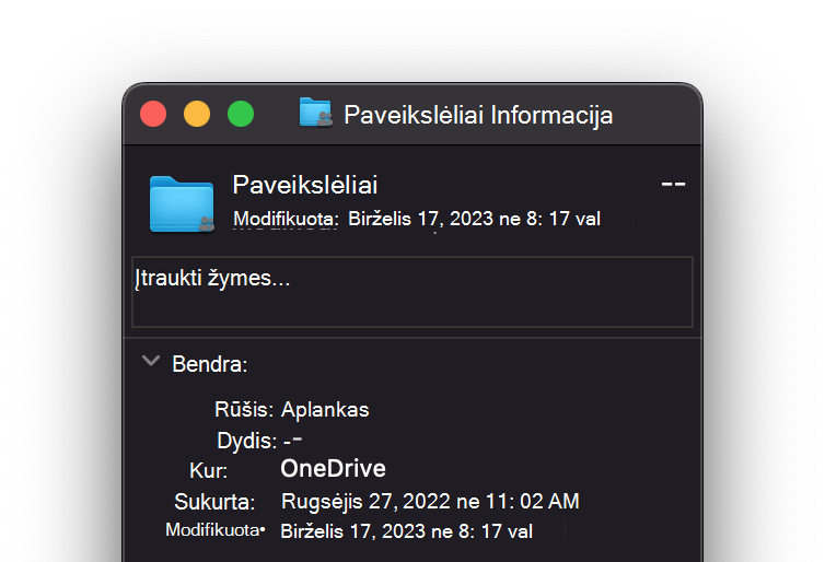 OneDrive_Disk_Space_File vaizdas