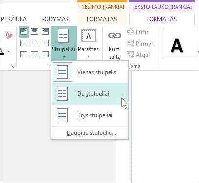 „Publisher“ teksto lauko įrankių stulpelių ekrano nuotrauka.