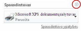 „Publisher“ spausdintuvo būsena
