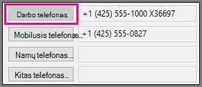 Darbo telefono numeris yra pilkas.