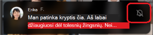 Mobiliojo telefono ekrano vaizdas su pokalbio atidėjimo peržiūra apačioje.