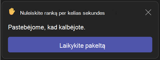 Automatinio pakeltos rankos nuleidimo vartotojo sąsaja