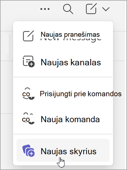 Parinkties kurti naują sekciją ekrano nuotrauka. Jis rodomas pasirinkus naujų elementų parinktį kombinuotame pokalbio rodinyje arba atskirame komandų rodinyje.
