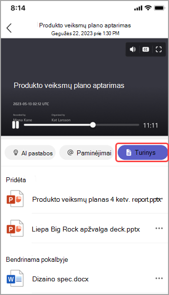 Bendrinamo turinio peržiūra 
