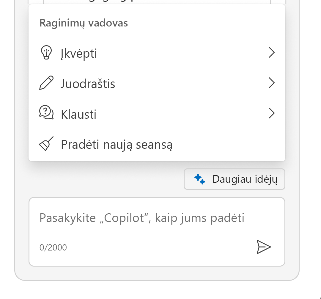 Ekrano kopijoje pavaizduotas išplėstas kibirkšties meniu, kad būtų rodomas raginimų vadovas.