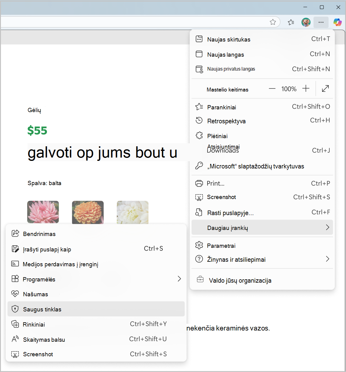 Meniu Parametrai ir kita parinkties Saugus tinklas ekrano kopija