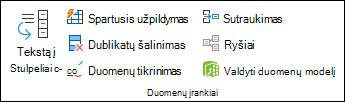 Duomenų tikrinimas