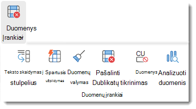 Duomenų tikrinimo mygtukas 