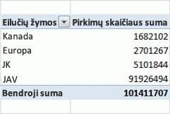 „PivotTable“ pavyzdys