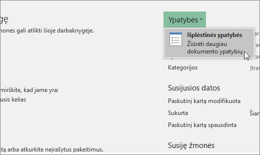 Išplėstinės ypatybės