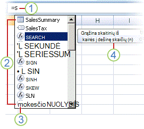 Formulės automatinis vykdymas