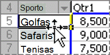 Elemento perkėlimo „PivotTable“ ataskaitoje pavyzdys