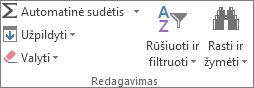 „Excel“ grupė pagrindiniame skirtuke