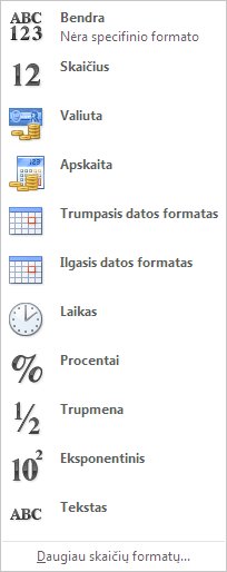 Skaičių formatų galerija