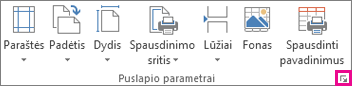 Dialogo lango vykdyklė grupėje Puslapio sąranka
