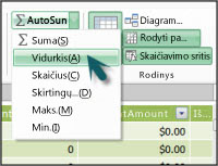 „PowerPivot“ funkcija AutoSum