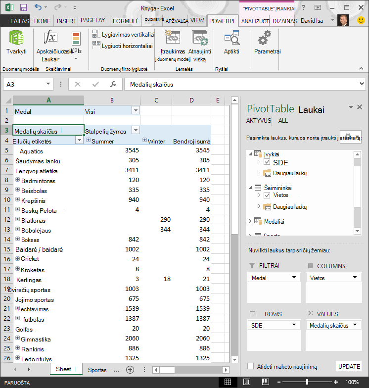 „PivotTable“ su hierarchija