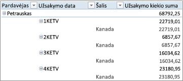 „PivotTable“, rodoma kaip eskizas