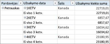 „PivotTable“, rodoma kaip lentelė