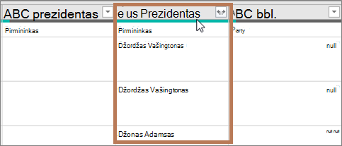 Sukurtas duomenų tipo stulpelis