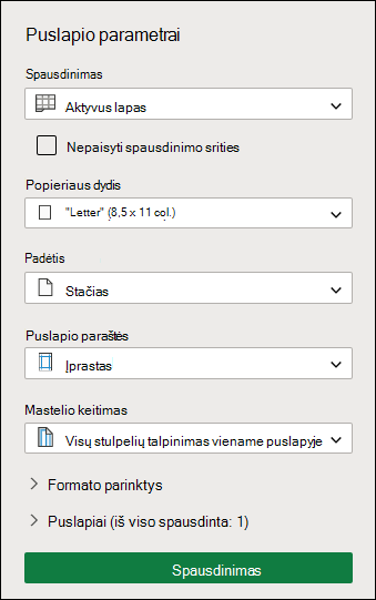 Spausdinimo sąrankos ekranas