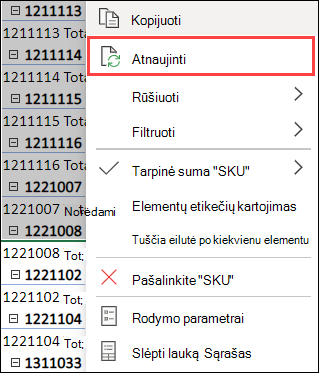 „PivotTable“ atnaujinimas