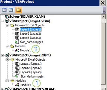 VBA projektų naršyklės srityje rodomi 