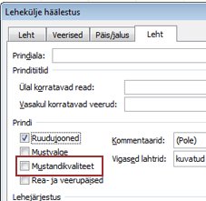 Lapo skirtukas dialogo lange Puslapio parametrai