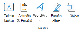 Ekrano nuotrauka, kurioje rodoma skirtuko Įterpimas grupė Tekstas.