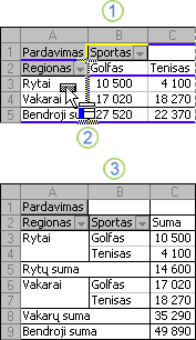 „PivotTable“ ataskaitos maketo keitimo pavyzdys