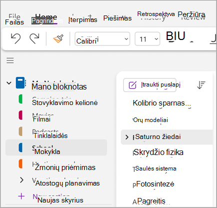 Pagrindinių užduočių ekrano eight.png