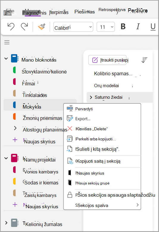 Pagrindinių užduočių ekrano nine.png