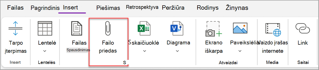 Pagrindinių užduočių ekrano ten.png