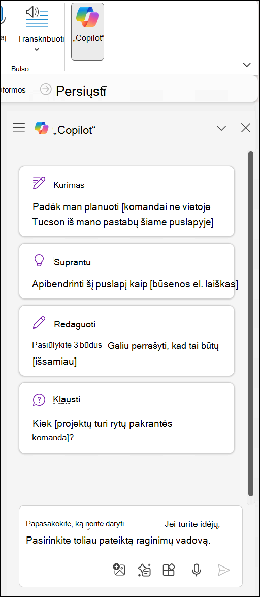 „Copilot“ sritis programos „OneNote“ dešinėje puslapio pusėje.