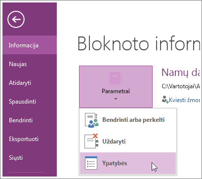 Galite atnaujinti „OneNote“ į naujausią versiją tiesiai iš meniu Failas.