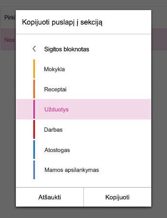 Meniu Kopijuoti puslapį į sekciją programoje 