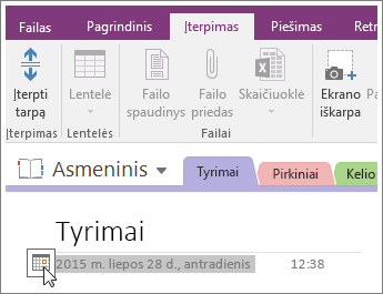 Puslapio datos žymos keitimo „OneNote 2016“ ekrano nuotrauka