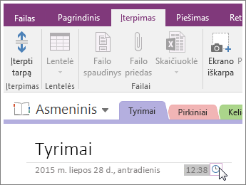 Laiko žymos keitimo „OneNote 2016“ puslapyje ekrano nuotrauka