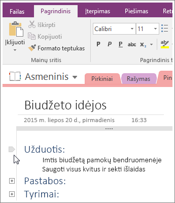Ekrano kopija, kurioje rodoma, kaip sutraukti „OneNote 2016“ struktūrą.